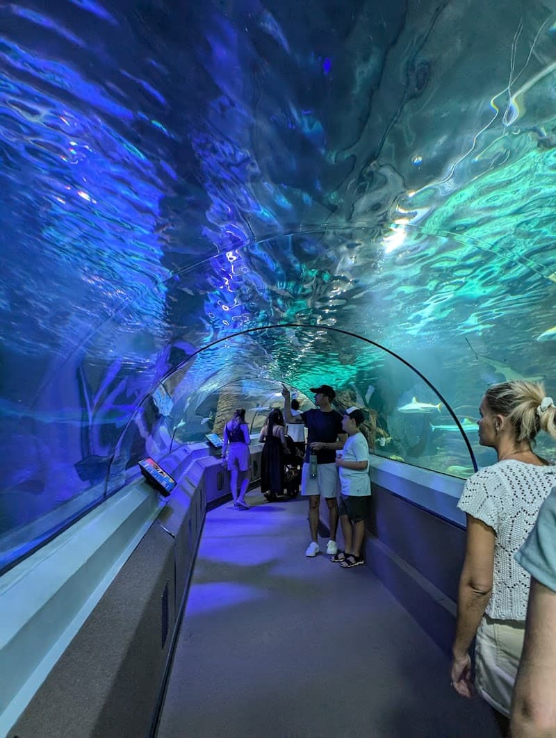 SEA LIFE Sunshine Coast