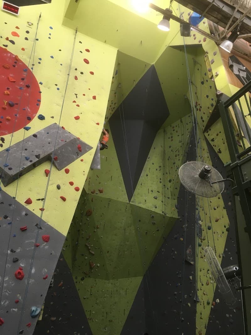 Sydney Indoor Climbing Gym St Peter’s