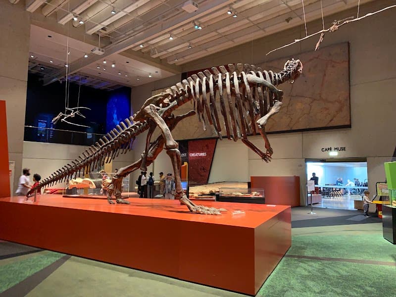 Dinosaur Discovery School Holiday Program