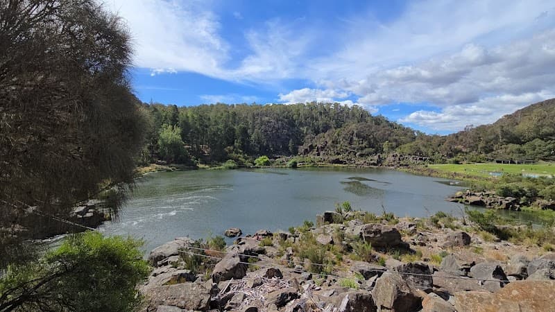 Cataract Gorge First Basin Swimming