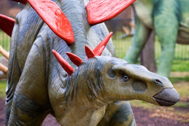National Dinosaur Museum