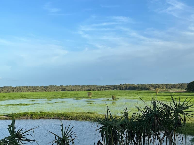 Fogg Dam Conservation Reserve