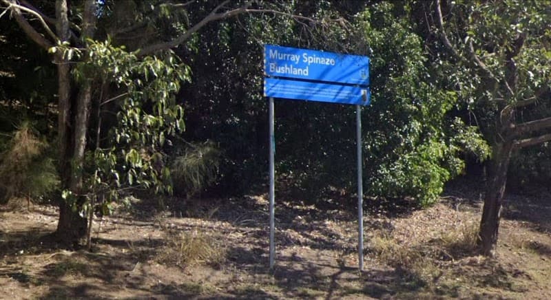 Murray Spinaze Bushland