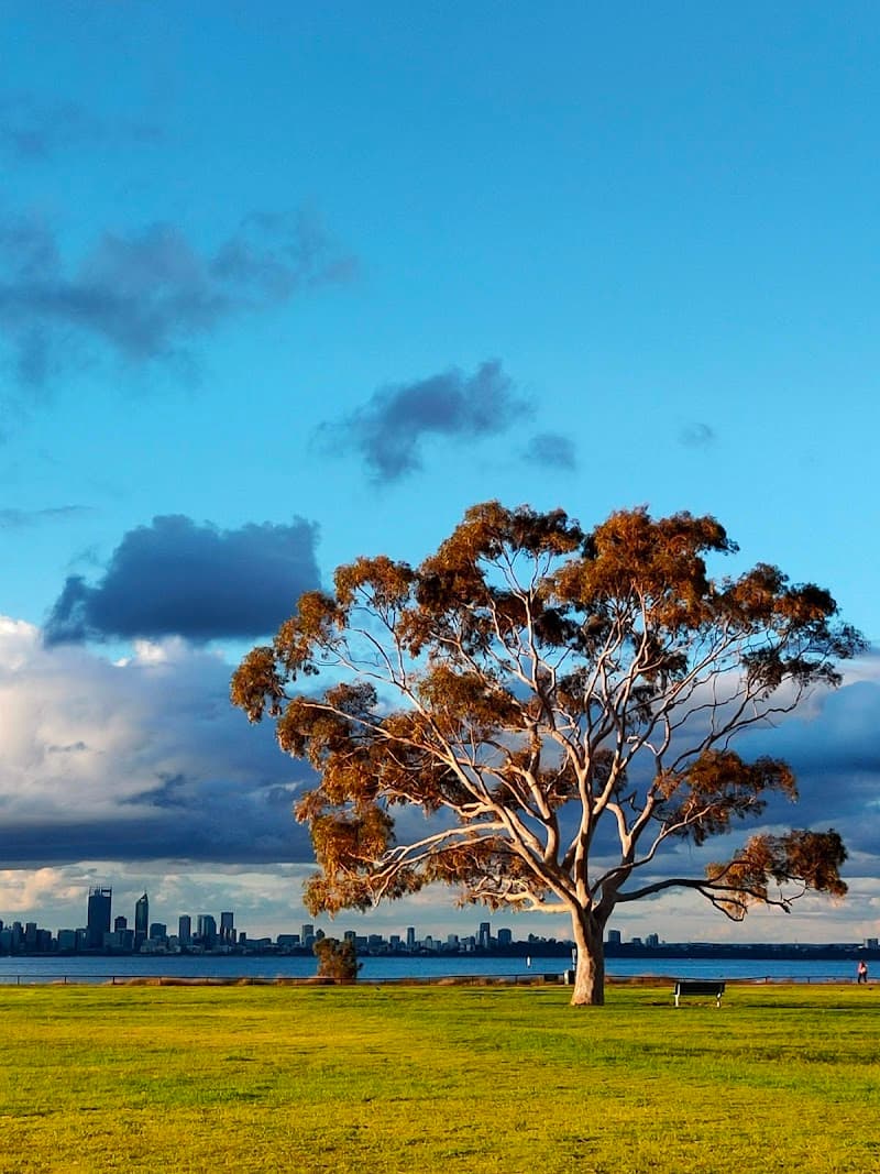 Attadale Conservation Area