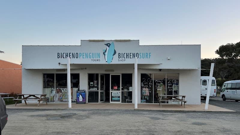 Bicheno Penguin Tours