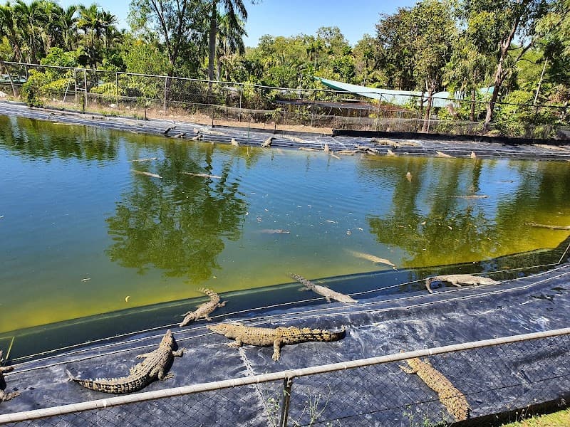 Crocodylus Park Darwin