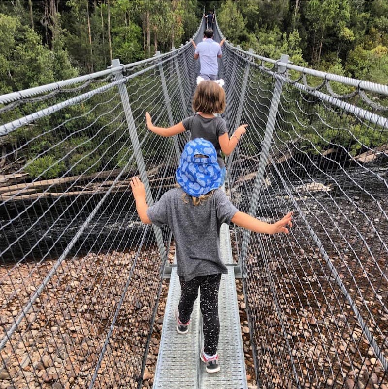 Tahune Adventures AirWalk