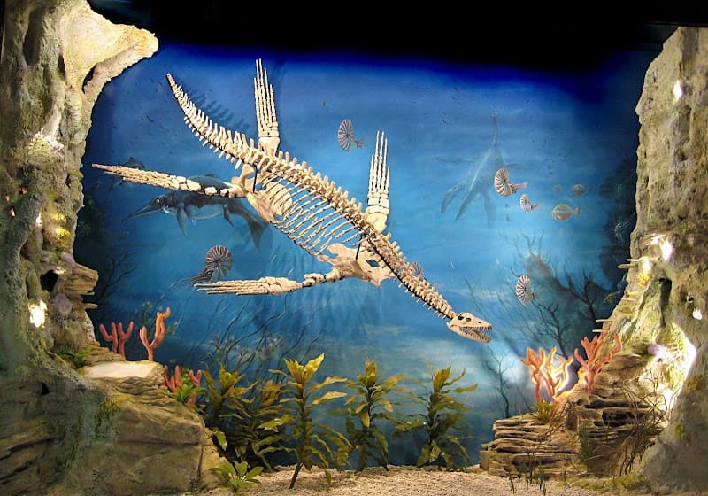 Opal Museum