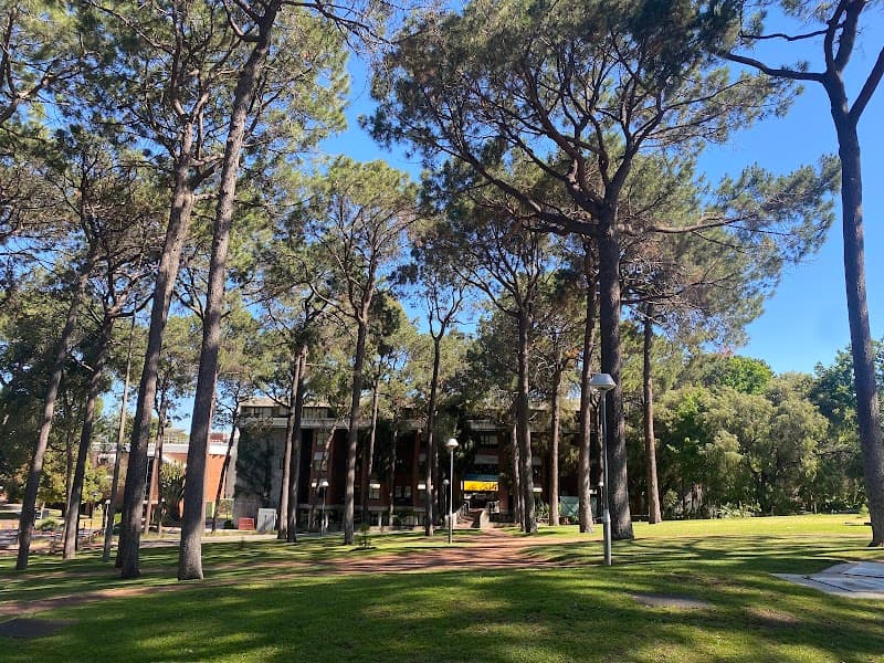 Henderson Court