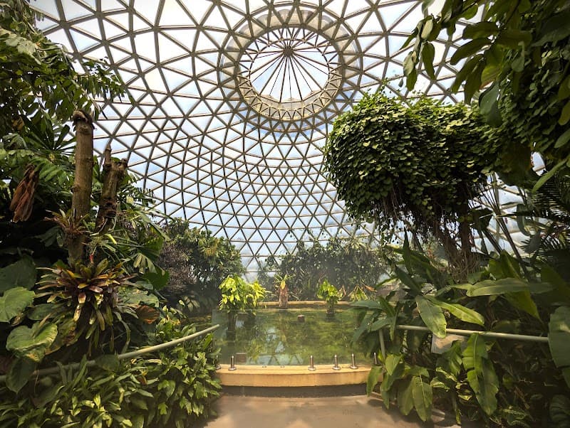 Mount Coot-tha Botanic Gardens