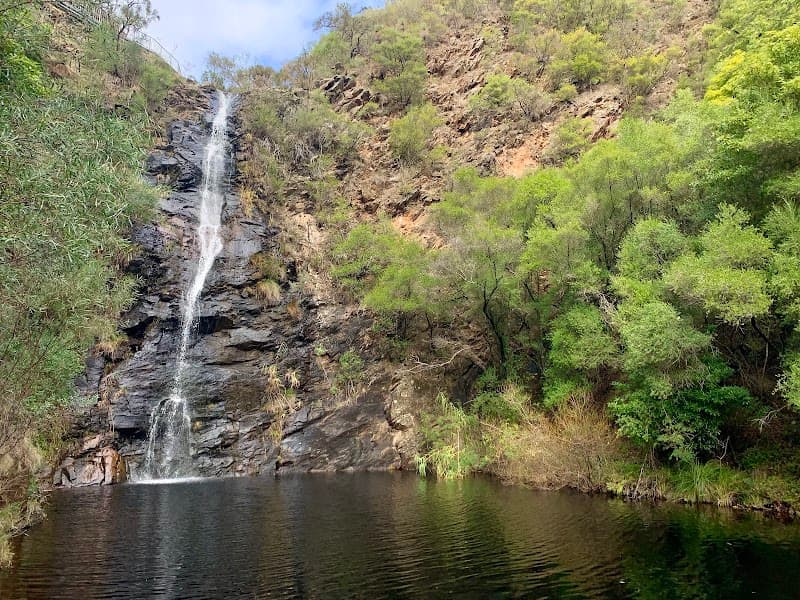 Waterfall Gully Walk